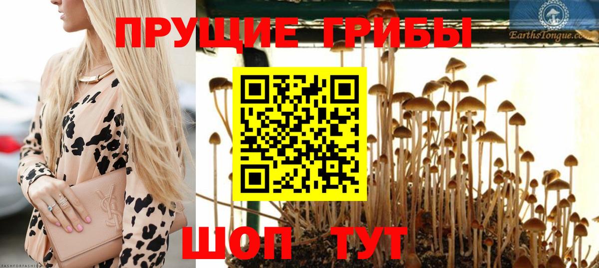 Псилоцибиновые грибы мухоморы  Вход с VPN  Уварово 